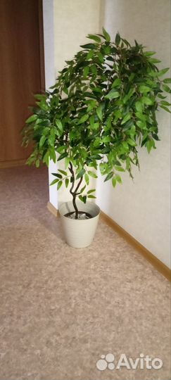 Искусственный фикус оливка