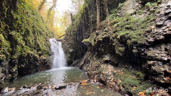 Экскурсии по Сочи