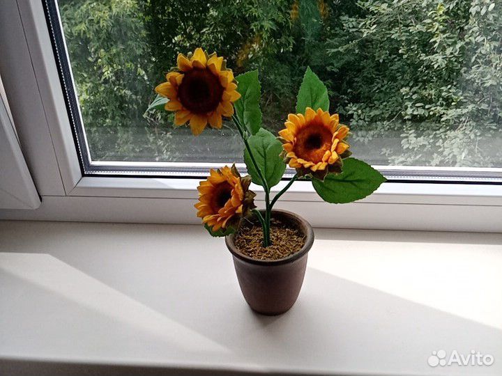 Цветок в горшке 