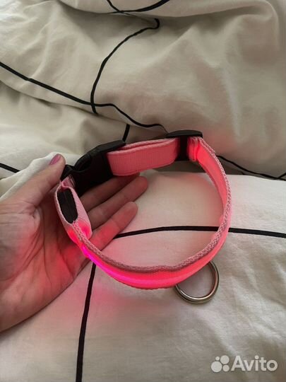 Светящийся ошейник для собак