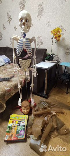 Скелет Артем