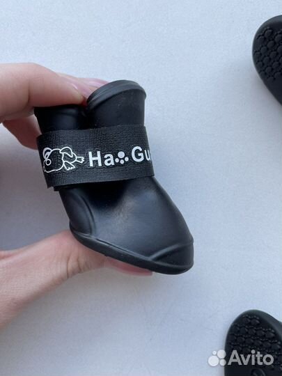 Сапожки для собак