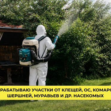 Обработка от клещей, тараканов, клопов Дезинфекция