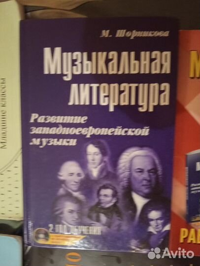 Шорникова Музыкальная литература