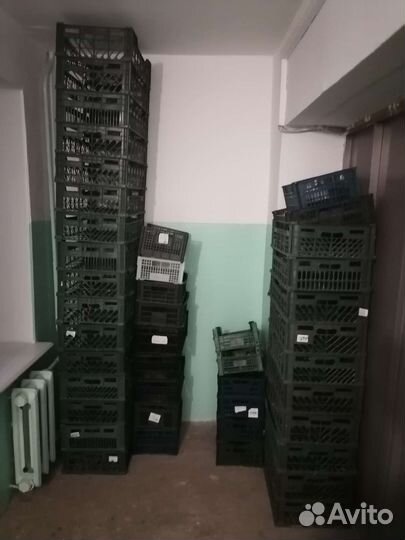 Ящики фруктовые