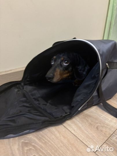 Переноска для животных мягкая от S7