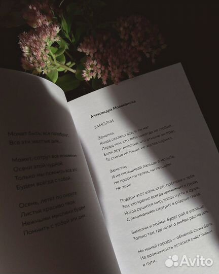 Стихи и песни на заказ. Профессиональный писатель