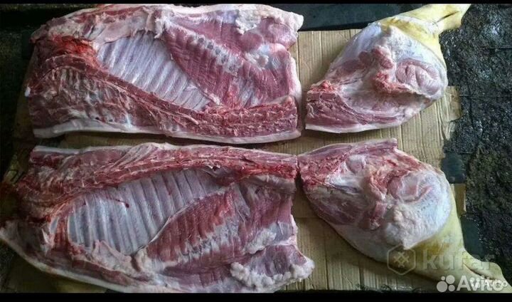 Мясо свинина
