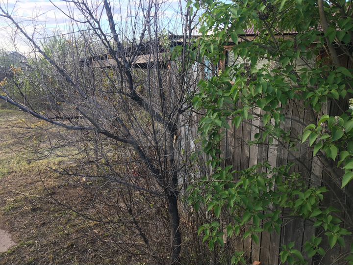 Дача 20 м² на участке 9 сот.