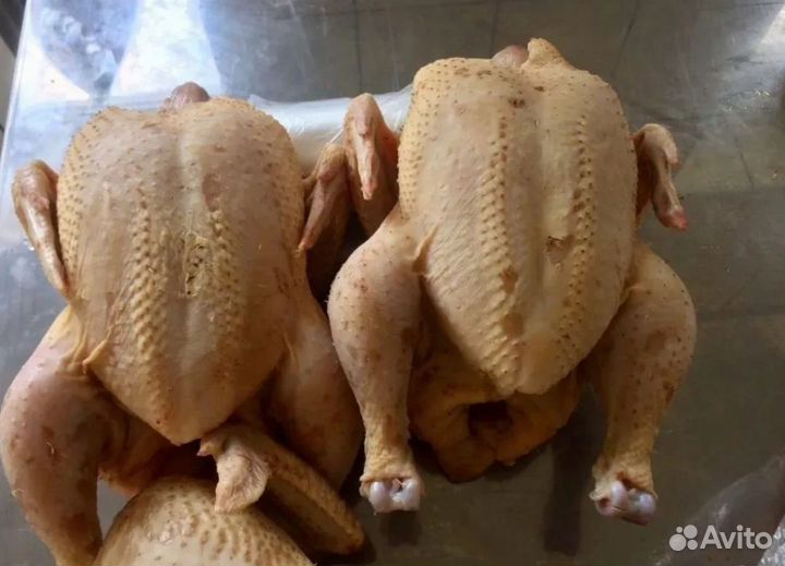 Куры бройлеры тушки мясо