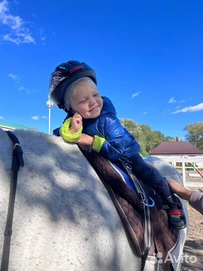 Прокат на лошадях