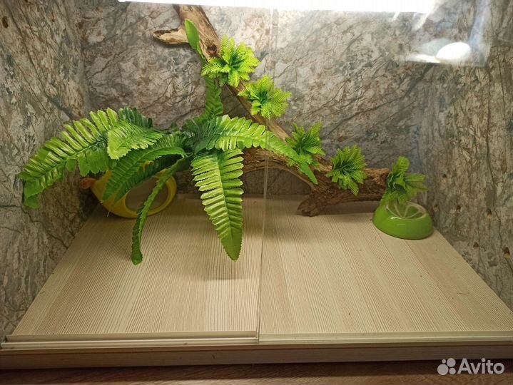 Террариум для эублефара