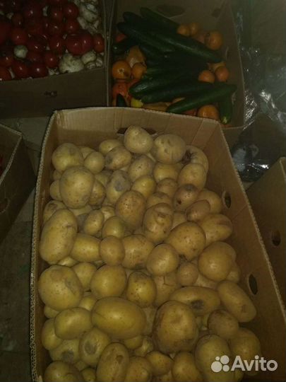 Овощи и фрукты, хлеб