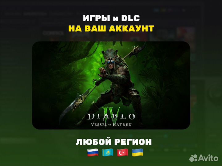 Diablo 4: Vessel of Hatred (Steam/Стим)