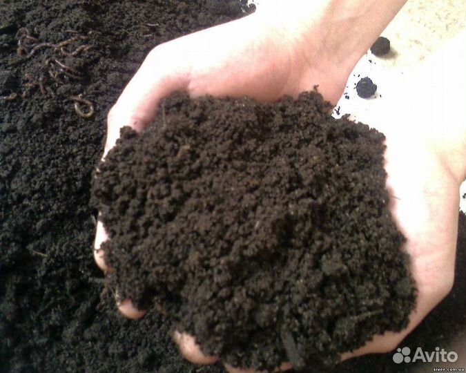 Чернозем торф навоз перегной плодородная земля