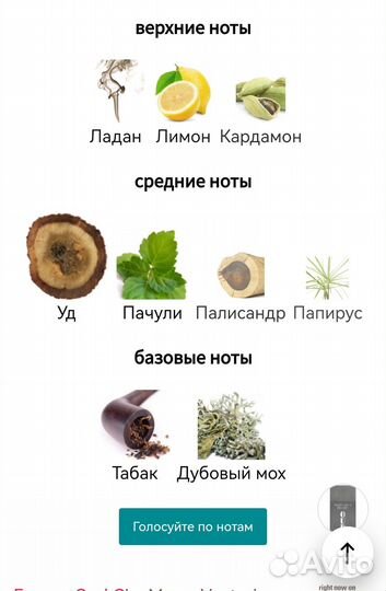 Туалетная вода Gian Marco Venturi Frames Oud