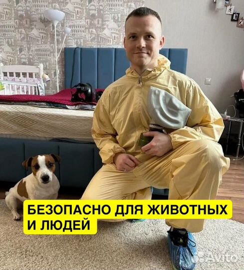 Дезинфекция уничтожение тараканов