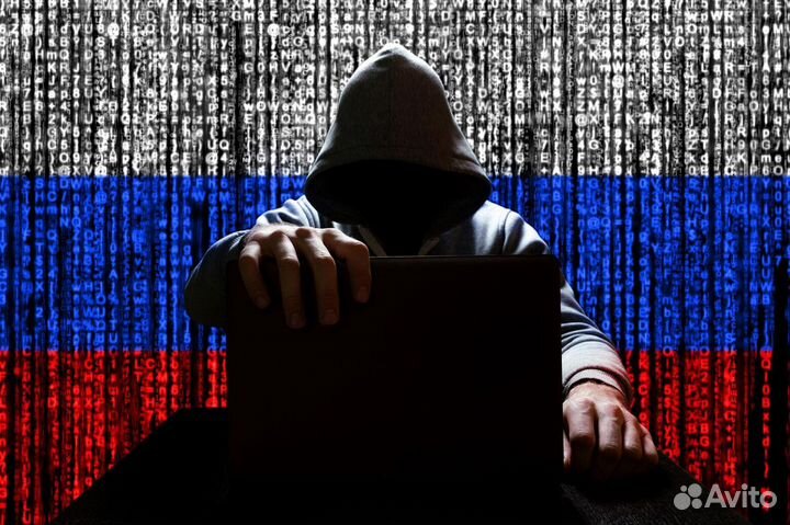 Помощь по поиску информации и данных / Детектив