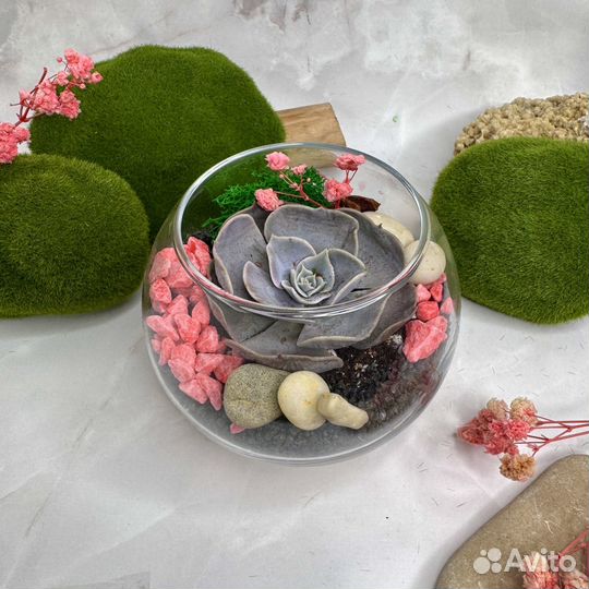 Флорариумы оптом, корпоративный подарок