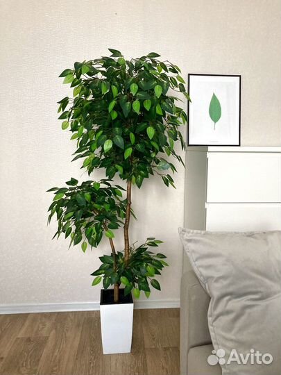 Искусственные цветы и деревья, фикус