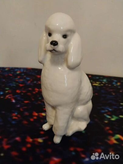 Щенок Дога лфз Пудель Пекинес