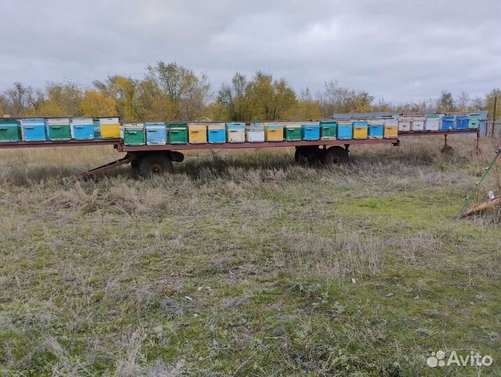 Улей для пчел