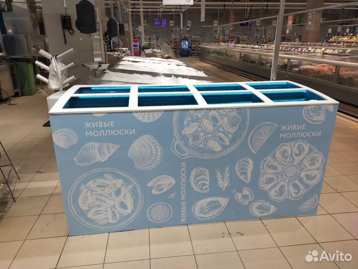 Бизнес по продаже живых устриц