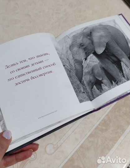 Медрые советы. Подарочная книга