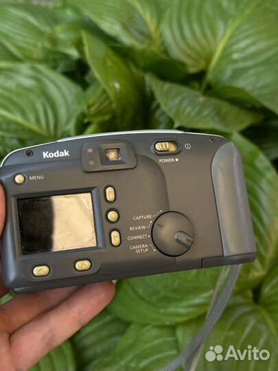 Цифровой фотоаппарат kodak DC3400 Zoom примеры