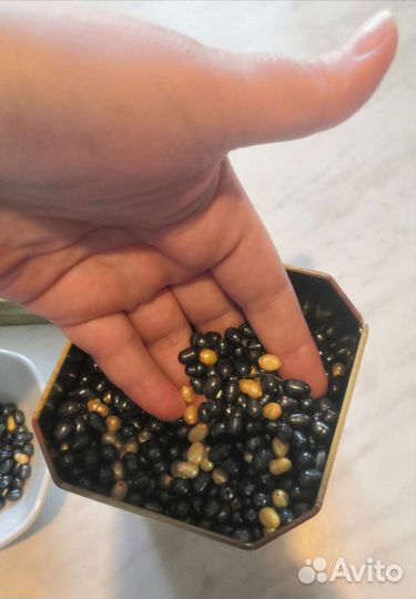 Речной жемчуг