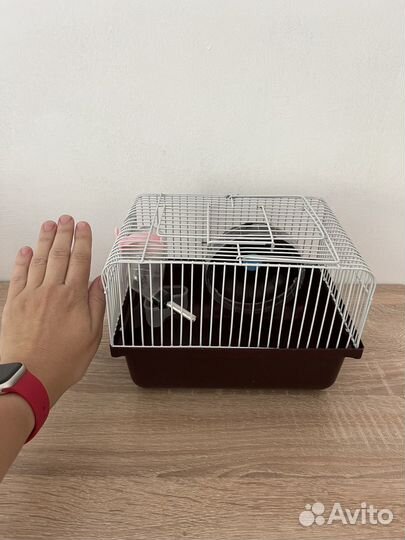 Клетка для джунгарского хомяка