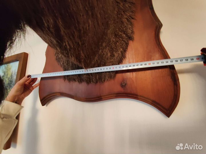 Чучело лося, кабана