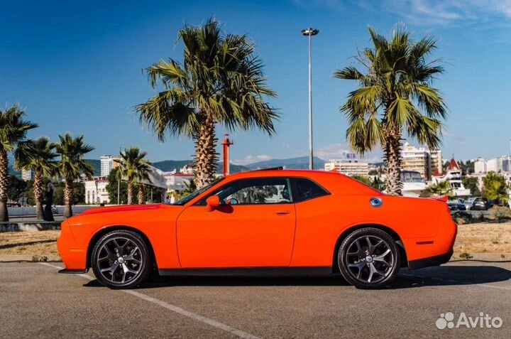 Прокат Dodge Challenger Сочи Адлер