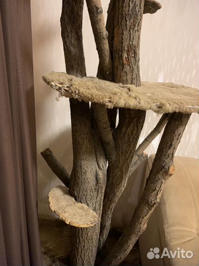 Дерево для кошек, домик и когтеточка