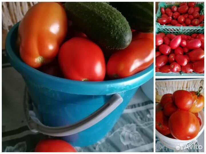 Томаты, кабачки, тыквы, варенья