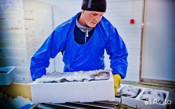 Вахта грузчик на производство с проживанием