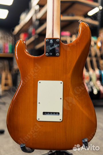 Fender American Performer Stratocaster RW HB