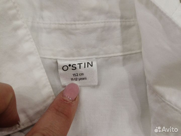 Блузка остин 152