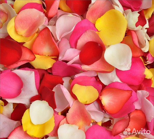 Лепестки роз