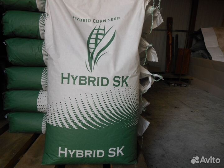 Семена кукурузы Краснодарская 291 амв, 292 амв