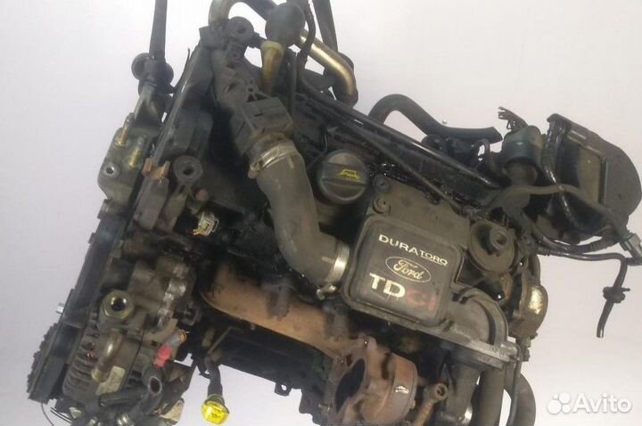 Двигатель Ford Fusion 2004 1.4 бензин F6JA