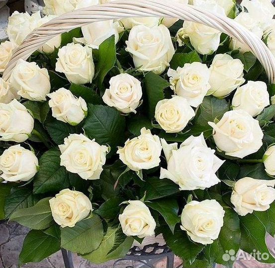 Розы Цветы Букеты 25 51 151 201 101 301 501 опт