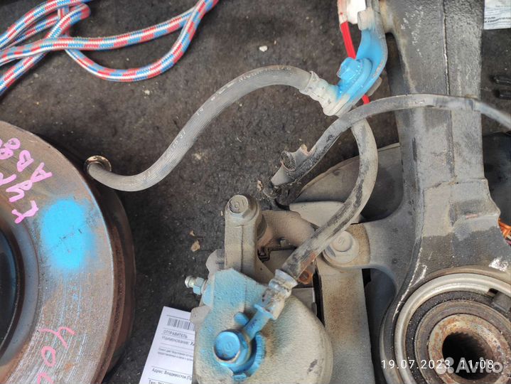 Кулаки поворотные Accord CL9