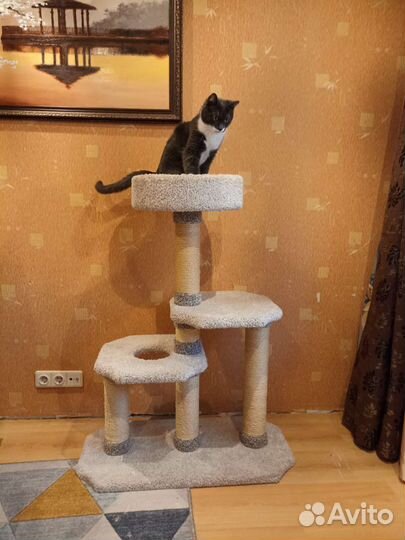 Домик когтеточка