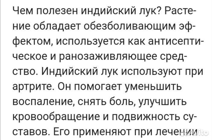 Индийский лук