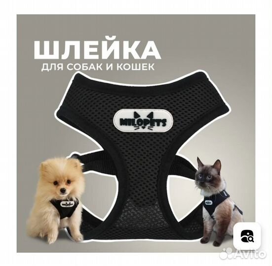 Ошейник - шлейка