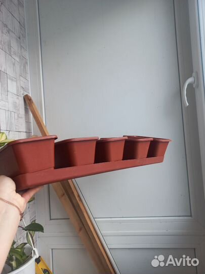 Горшки для рассады