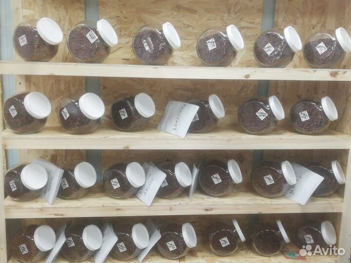 Кофе зёрнах и молотый болье 30 видов