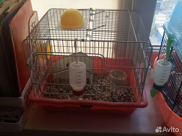Клетка + Джунгарский хомяк