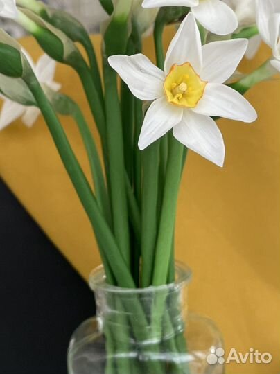 Нарцисс ручной работы подарок цветы